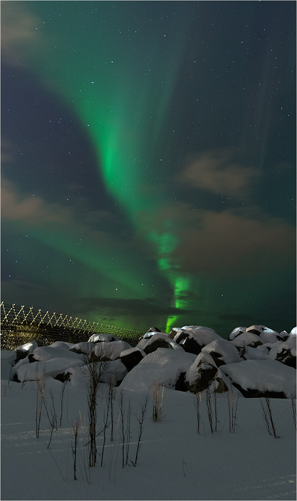 Aurora borealis / Lofoten