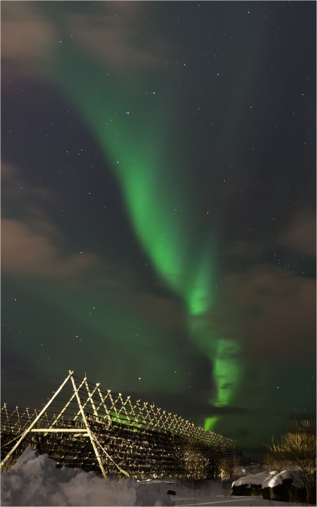 Aurora borealis / Lofoten