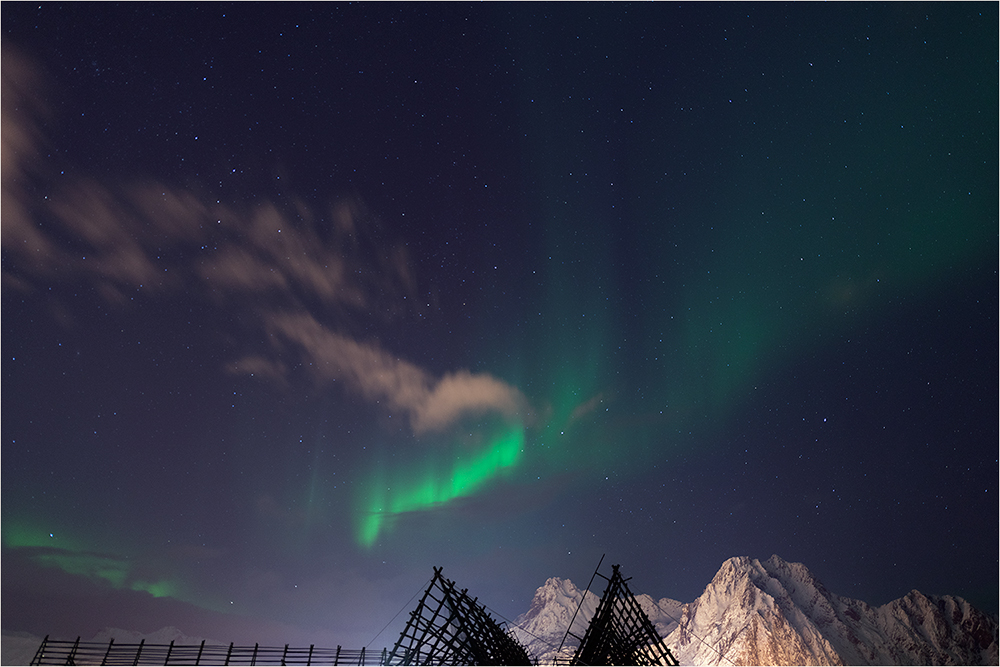 Aurora borealis / Lofoten