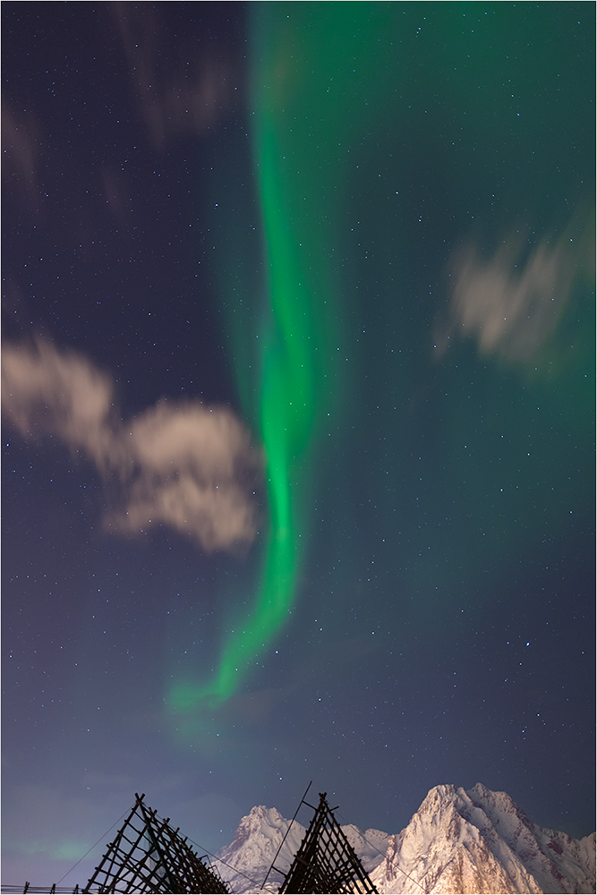 Aurora borealis / Lofoten