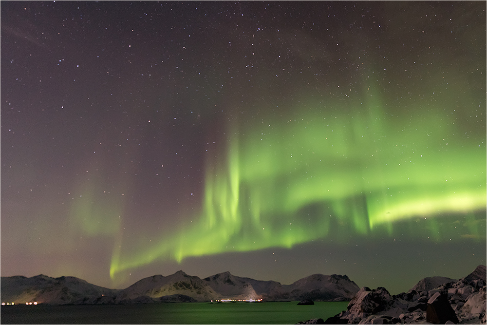 Aurora borealis / Lofoten