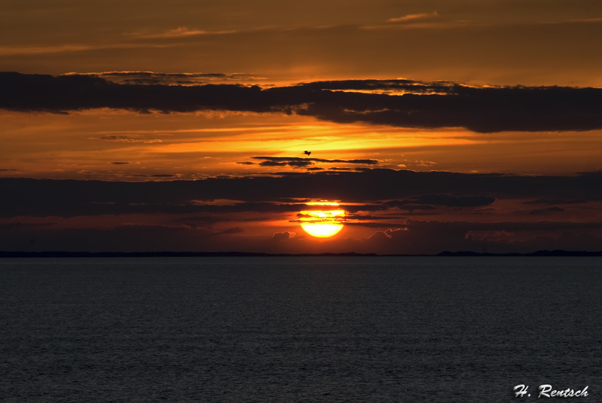 Sonnenuntergang auf der Fähre