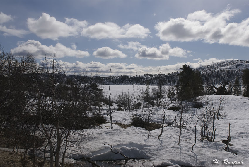 Tokke Norwegen