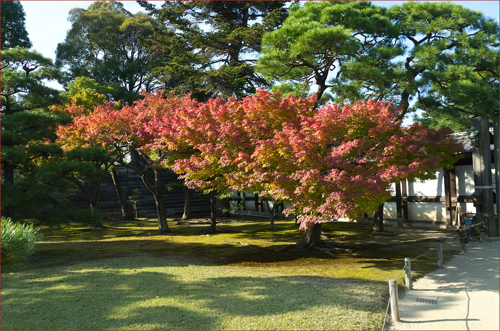 Japan Tempelbesuche