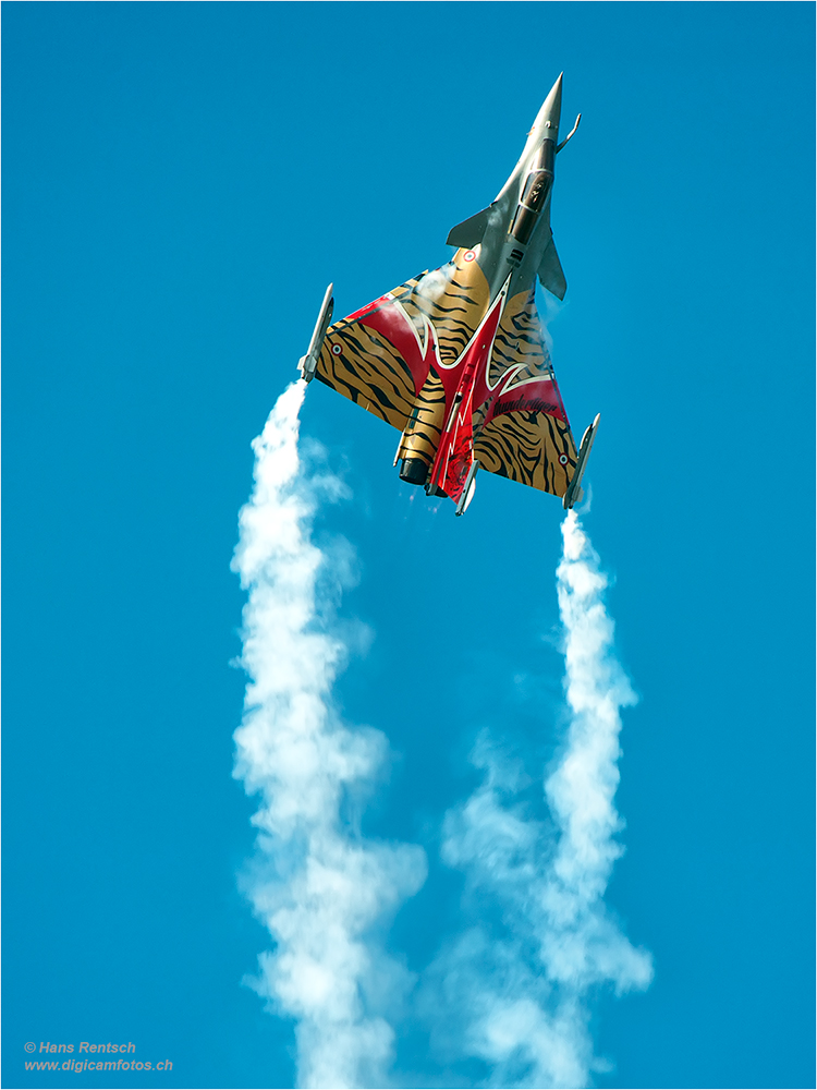 Dassault Rafale Solo Display 2014