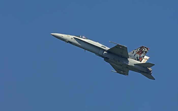 F/A-18 Swiss Army Dittinger Flugtage 2007