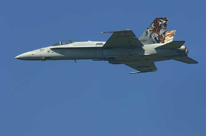 F/A-18 Swiss Army Dittinger Flugtage 2007