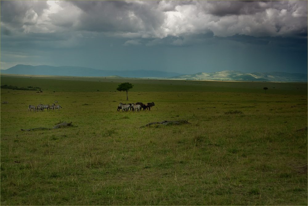 Landschaft Kenia