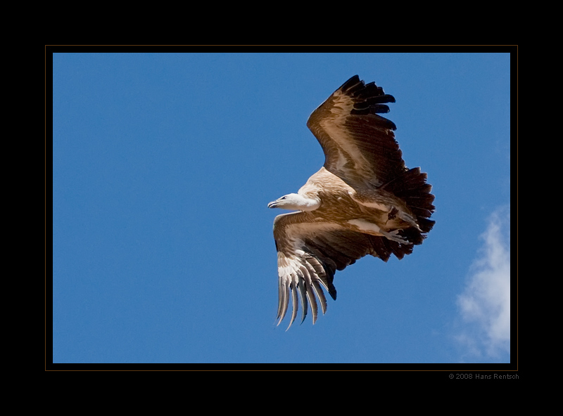 Flugstudie