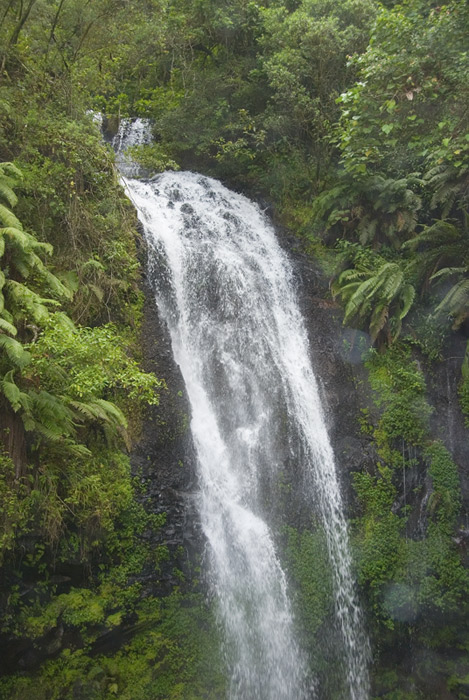 Wasserfall im Regenwald