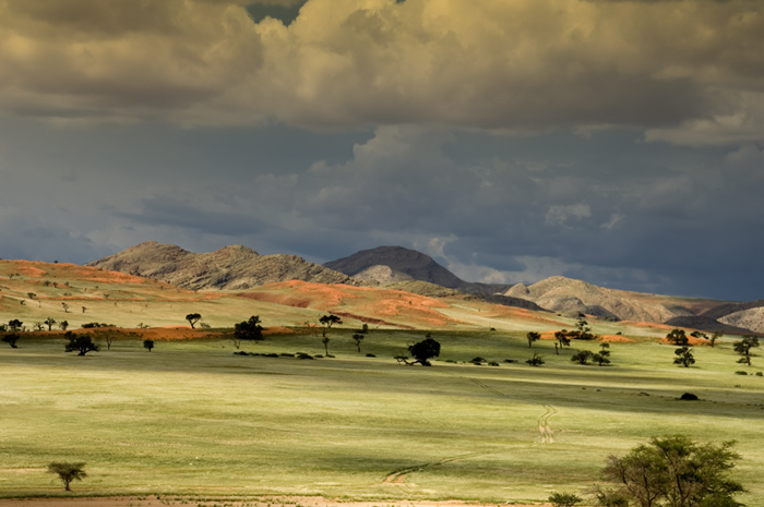 Landschaft in Namibia Feb. 2006