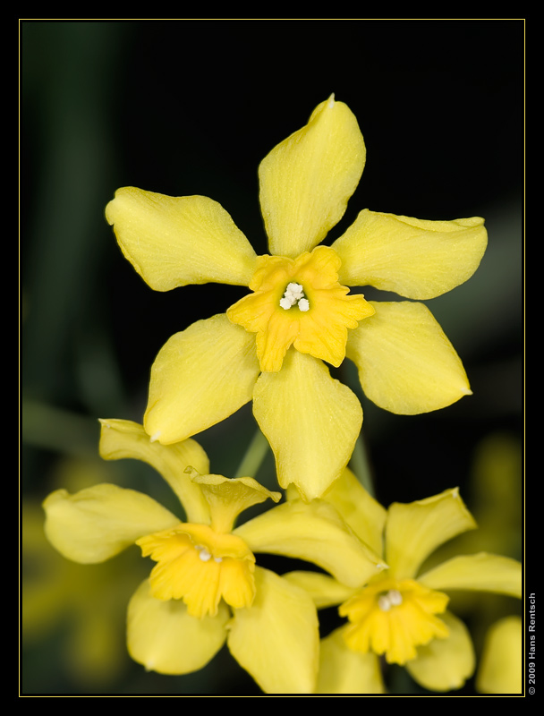 Botanischer Garten Basel