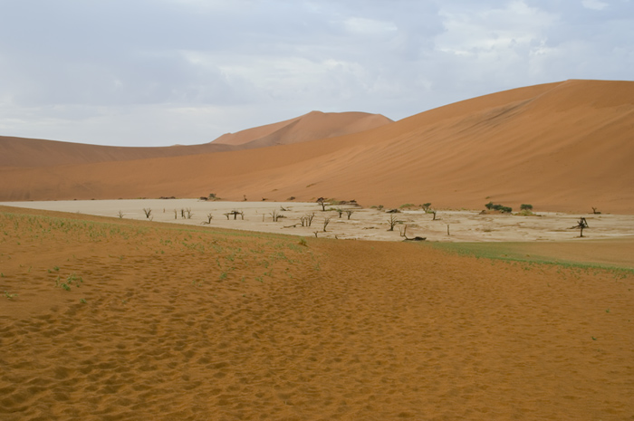 Sossusvlei