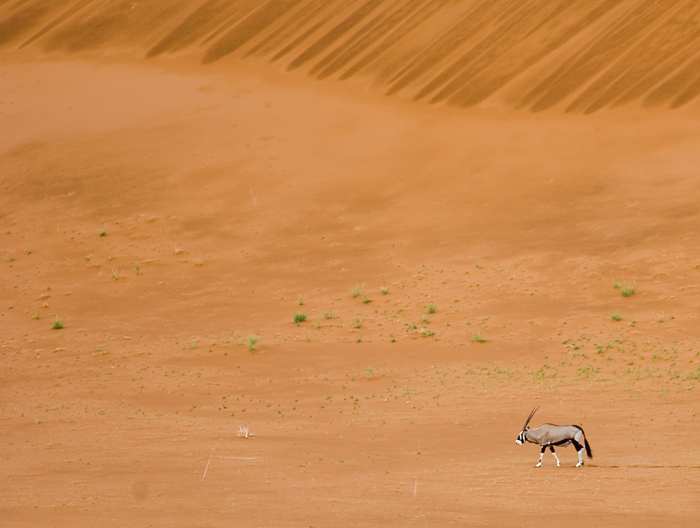 Sossusvlei / Deadvlei