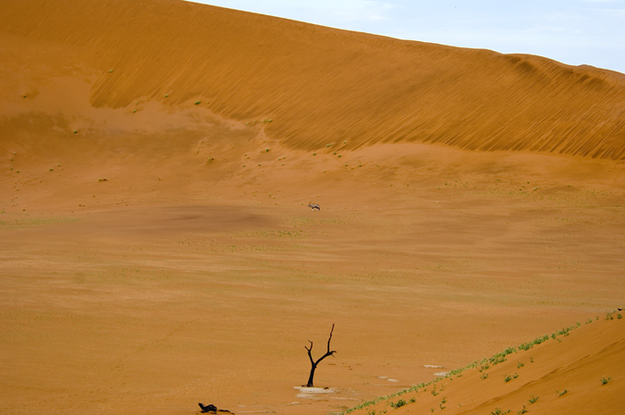 Sossusvlei / Deadvlei