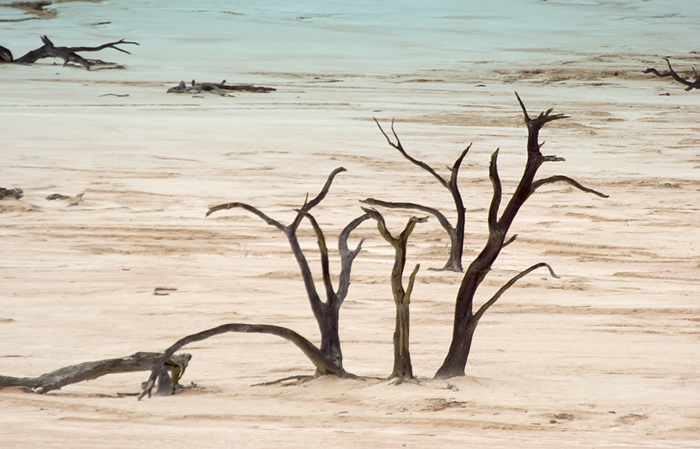 Sossusvlei / Deadvlei