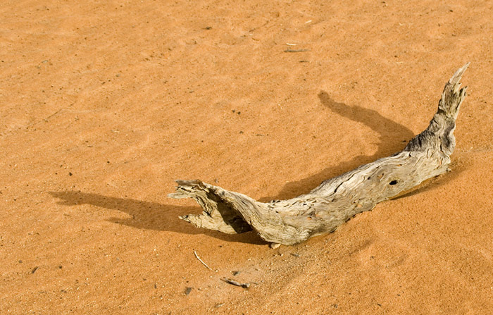 Sossusvlei / Deadvlei