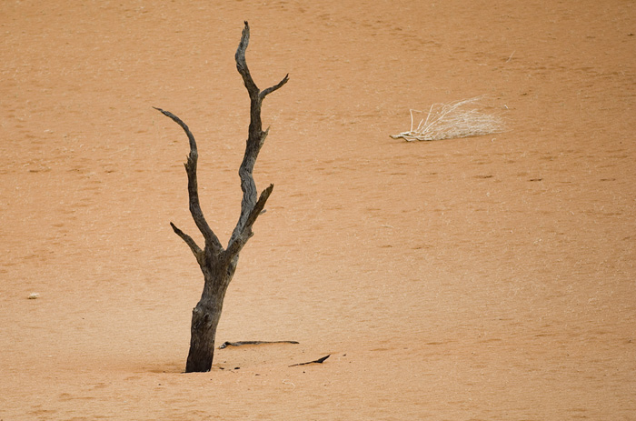 Sossusvlei / Deadvlei