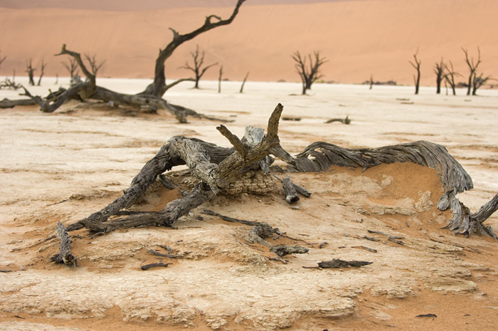 Sossusvlei / Deadvlei