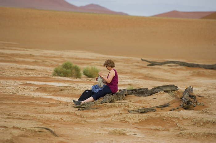 Sossusvlei / Deadvlei