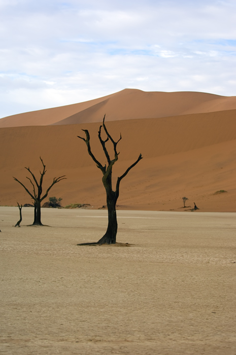 Sossusvlei / Deadvlei