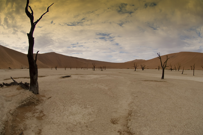 Sossusvlei / Deadvlei