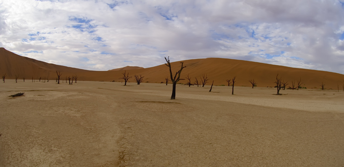 Sossusvlei / Deadvlei