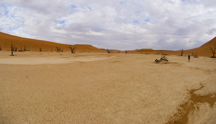 Sossusvlei / Deadvlei