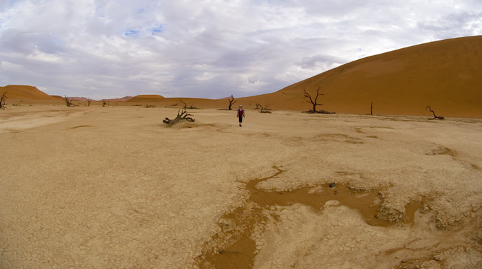 Sossusvlei / Deadvlei