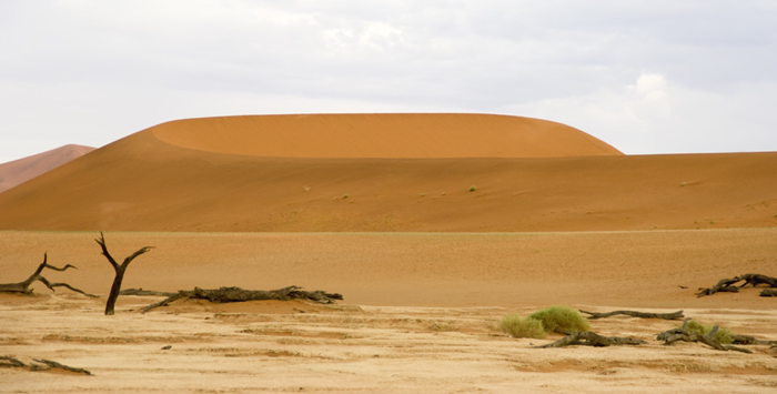 Sossusvlei / Deadvlei