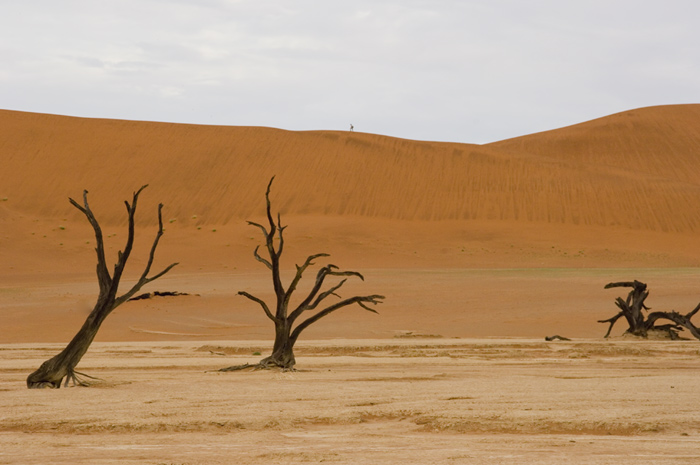 Sossusvlei / Deadvlei