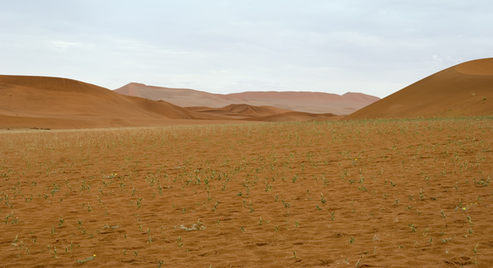 Sossusvlei