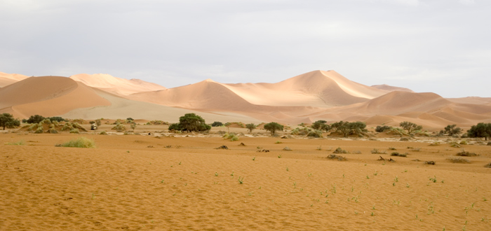 Sossusvlei