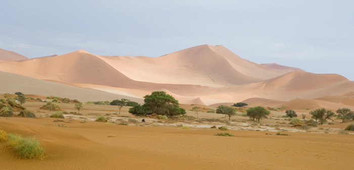 Sossusvlei