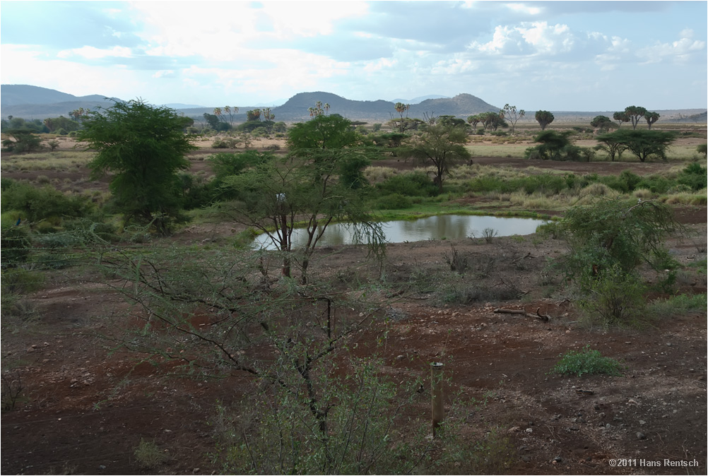 Landschaft Kenia