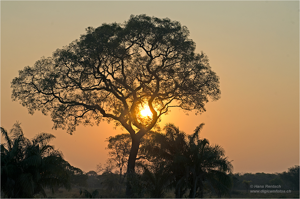 Sonnenaufgang