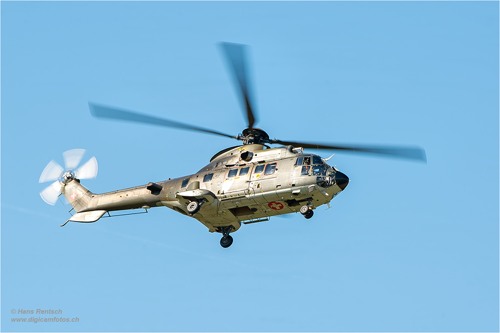 Super Puma