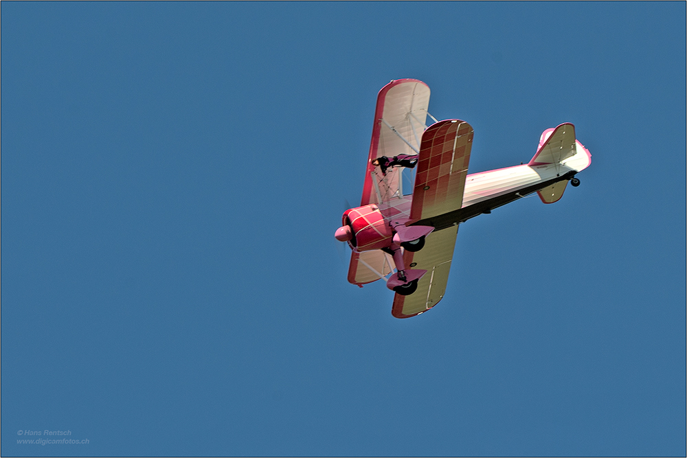 Wingwalker