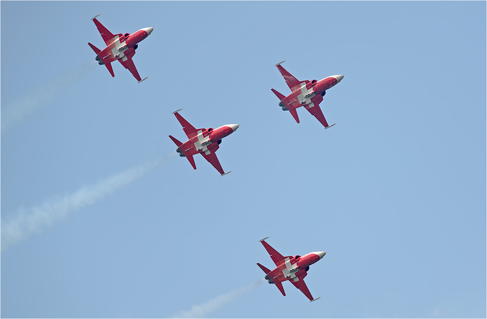 Patrouille Suisse / Flugschau Dittingen 2013