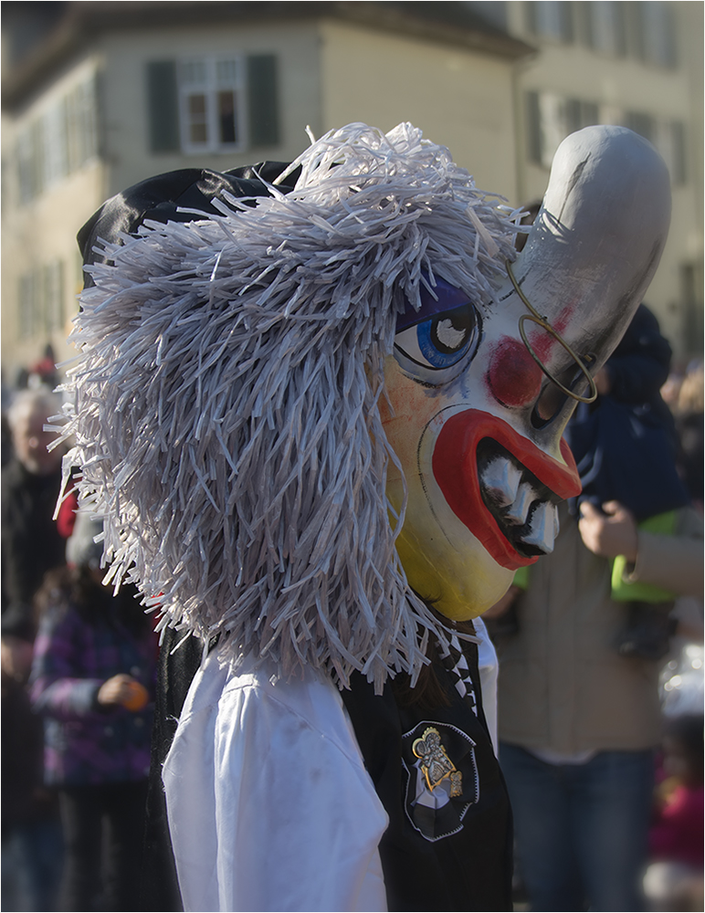 Cortège Basler Fasnacht 2013