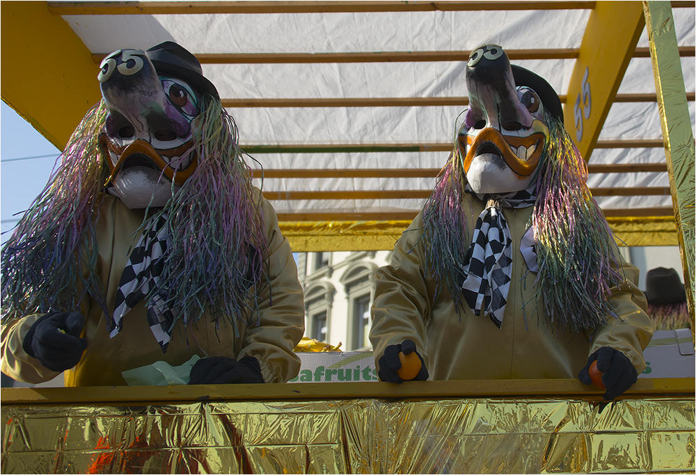 Cortège Basler Fasnacht 2013