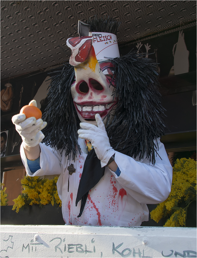 Cortège Basler Fasnacht 2013