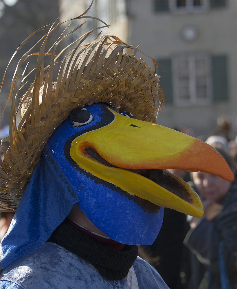 Cortège Basler Fasnacht 2013