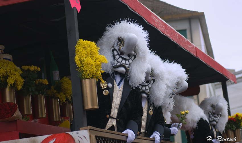 Basler Fasnacht 2010