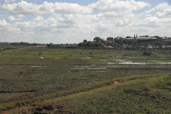 Landschaft in Madagaskar