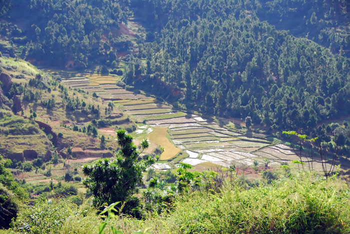 Landschaft in Madagaskar