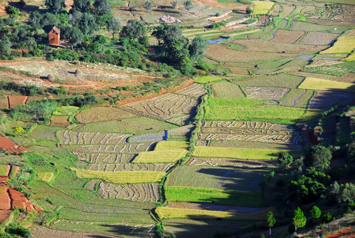 Landschaft in Madagaskar