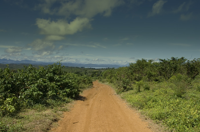 Landschaft und eine gute Strasse