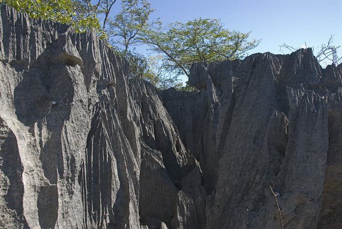 Madagaskar, Ankarana, Tsingis