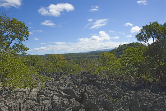 Madagaskar, Ankarana, Tsingis